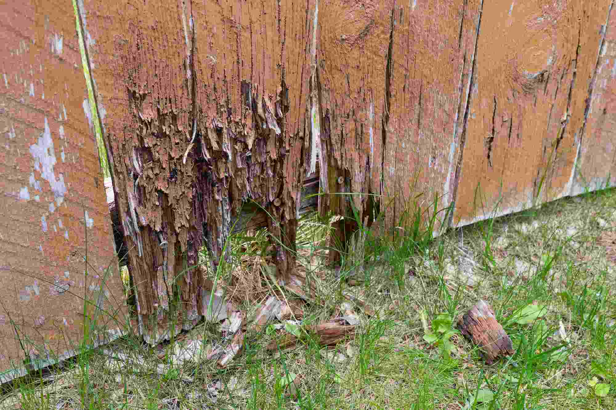 How Long Does it Take to Repair or Replace Rotting Wood?  All